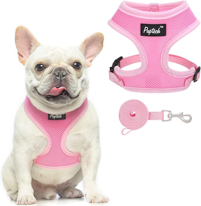 PUPTECK Small Dog Harness and Leash Set No Pull for XS XXS Sized Dogs Puppy | Escape Proof No Choke Pet Cat Adjustable Soft Padded Walking Vest by PUPTECK