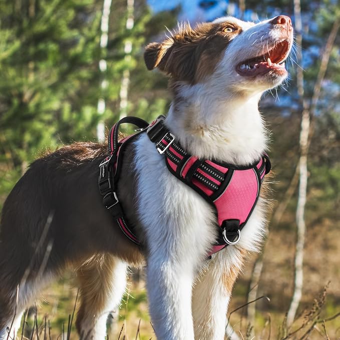 rabbitgoo Dog Harness Medium Sized, No Pull 3 Buckles Easy On & Off | Soft Padded, Walking with Control Handle, Adjustable and Reflective, Pink, Medium - Image 8
