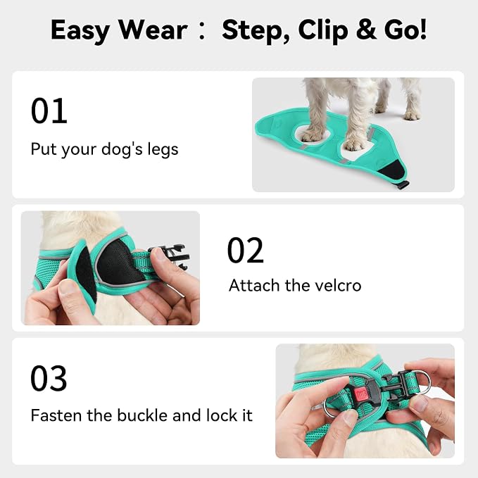 Joytale Step-in Dog Harness, Soft Breathable Mesh, Teal XXS | Adjustable Fit for Small Dogs, Easy Step-in with Secure Fastener, Even Chest Pressure, Reflective For Night Safety, Washable - Image 3