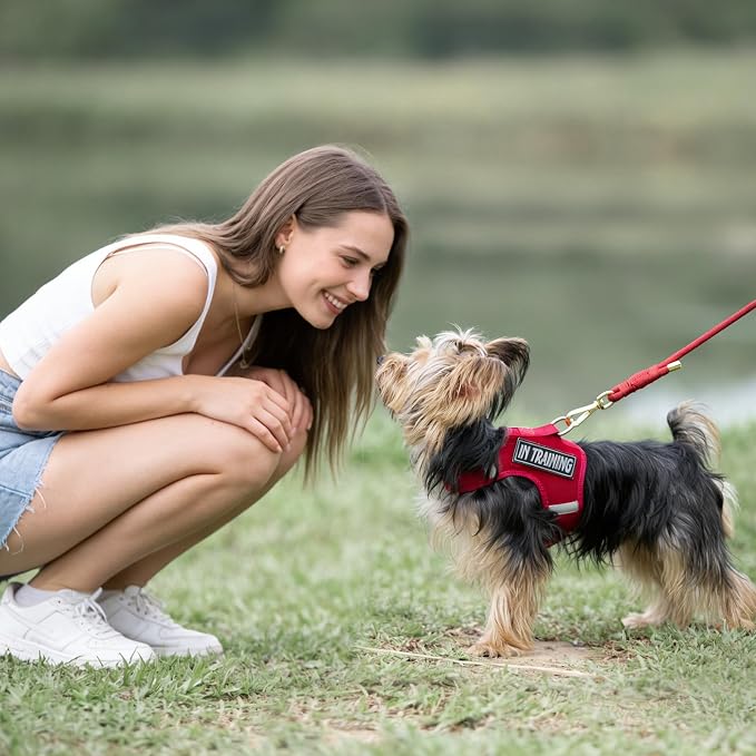 5FT Dog Leash 5/16 inch Puppy Cat Rope Lead | Burgundy Red, with Anti-tangle Swivel Clip, Comfortable Non-slip Grip Handle, Ideal for Daily Walks, for Small Medium Dogs - Image 7