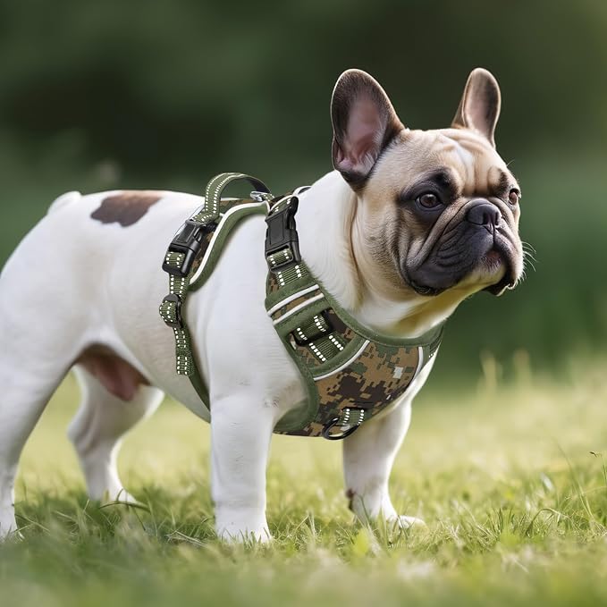 Timos Small Dog Harness, No Pull No Choke, Easy On & Off, Military Green, S | Adjustable Reflective Soft Padded, Neck Quick Release with 3 Buckles, Front & Back 2 Clips and Handle for Walking Training - Image 5