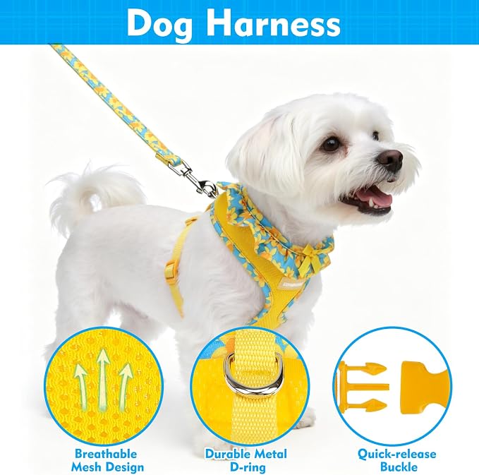 EXPAWLORER Step-in Dog Harness Small Sized and Leash Set | Cute Small Dog Harness No Pull Girl, Breathable Soft Mesh Padded, Adjustable Light Puppy Vest for Dogs Cats, Daffodil XS - Image 3