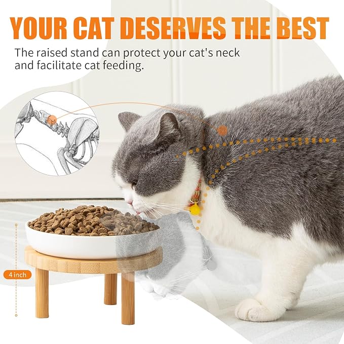 Lusifaco Shallow Wide Elevated Cat Bowls Whisker Fatigue(Green,Set of 2) | 5.9 Inch 2 Height Raised Ceramic Cat Dishes with Bamboo Stand, Flat Pet Water Food Plates Feeding Station for Indoor Kitten - Image 2