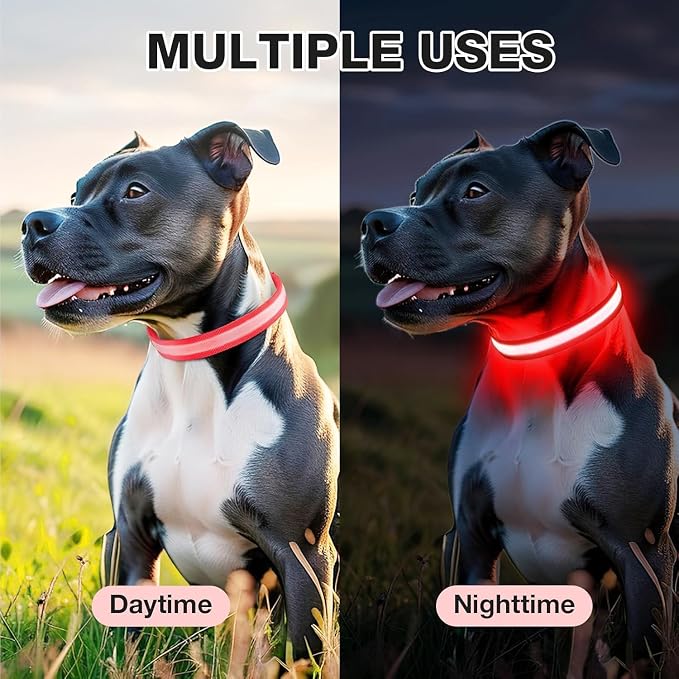 PcEoTllar Light up Dog Collar, Safe for Night Walking, Adjustable, Red, L | Colorful RGB Light, Waterproof, For Small Medium and Large Dogs, Durable Material, USB to Charge - Image 5
