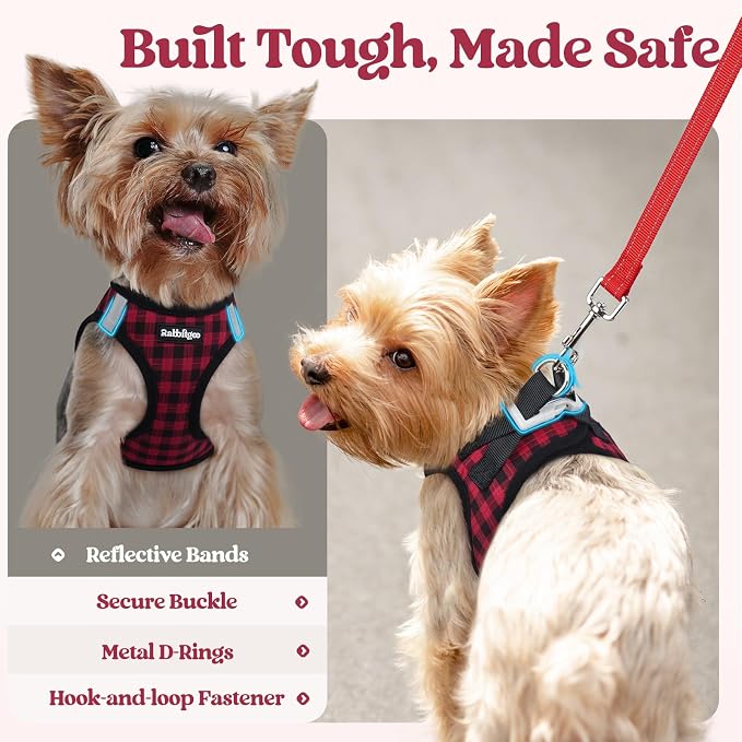rabbitgoo Dog Harness Small Sized and Leash Set, Step-in Puppy Pet Vest | Light, Soft, Breathable Air Mesh, Easy on and Remove with Hook & Loop, Secure Reflective for Walking, Red Check XS - Image 5