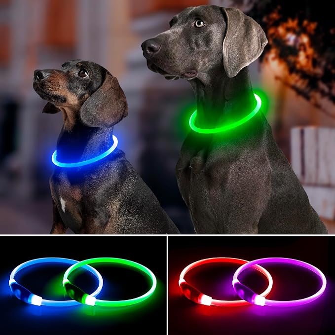 Light Up Dog Collar 2-Pack, USB Rechargeable for Small to Large Dogs | Rechargeable LED Glow Dog Collar with 3 Light Modes, Waterproof, Adjustable 12–25 Inches for Safe Night Walking - Image 3