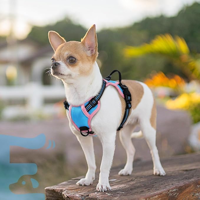 Eagloo Dog Harness for Small Dogs, No Pull Pet Vest with 2 Leash Clips | No Choke with Handle, Adjustable Comfort Fit, Reflective Strips, Easy Walking Control, Pink & Sky Blue, X-Small - Image 9