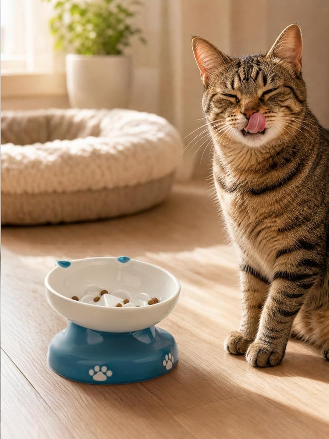 Y YHY Ceramic Slow Feeder Cat Bowl, Elevated Cat Bowl Tilted Design Slow Feeder for Dog and Cat for Dry and Wet Food, Blue - Image 7