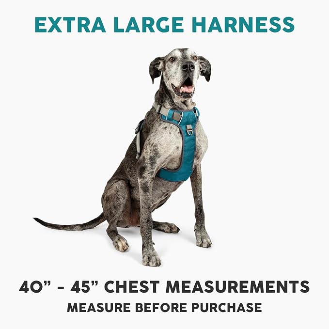 Embark No Pull Dog Harness, Reflective Adjustable Training Vest, No Choke | Adjustable straps fit all dog breeds with sturdy hooks; 360° reflective trim, soft padded Harness Design for All Dogs - Image 2