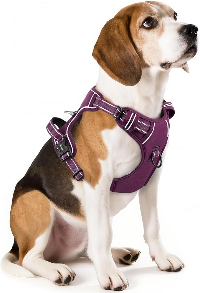 HEELE Dog Harness for Medium Dogs No Pull Dog Vest Harness with Soft Padded Handle Reflective for Outdoor Training, Purple(Matching Trim), M | Soft Breathable Padded for Medium Harness, No Pull No Choke, Adjustable 2 Metal Rings for Outdoor Walking Tra... by HEELE