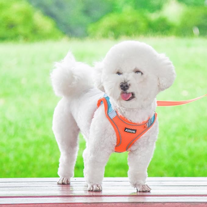 AIITLE Small Dog Harness and Leash Set, Step-in Puppy Pet Vest, Orange XXS | Breathable Mesh, Adjustable Fit, Reflective Design, Padded Leash Handle, for Small-Medium Dogs & Cats, Walking, Training - Image 6