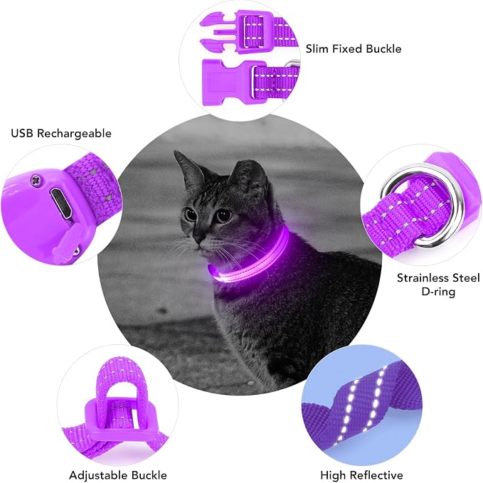 Light up Dog Collar for Small Dog,Vizpet XS Adjustable Size Nylon Collar USB Rechargeable Bright Safety Pet Collar for Cats Dogs (Purple) - Image 4