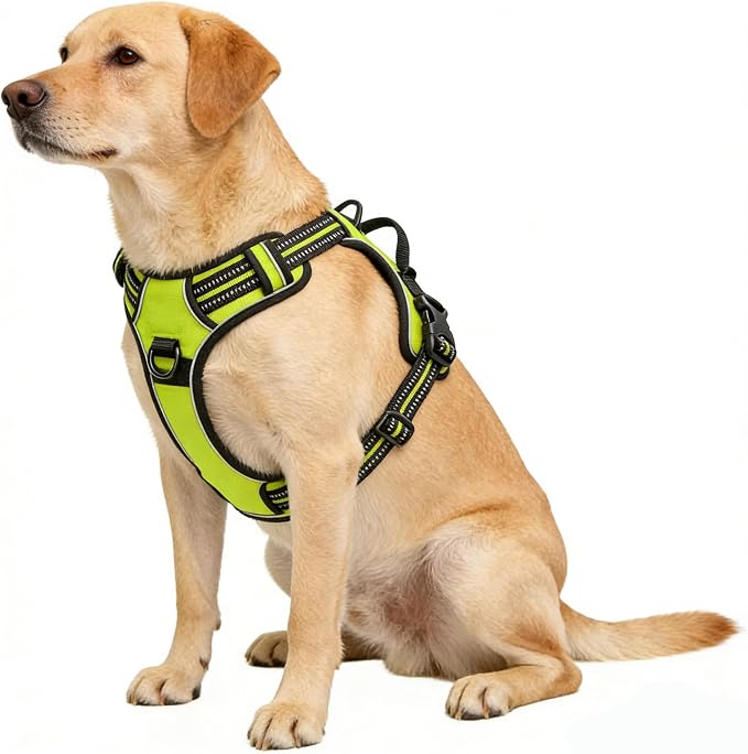 Green No-Pull Dog Harness with 2 Leash Clips，Soft Padded Vest for Large Dog, Adjustable Reflective Dog Vest Easy to Put on and Take Off, (Neck: 17"~24", Chest: 24"~32",Green L) - Image 4