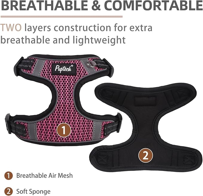 PUPTECK Dog Harness and Leash Set Small Sized, Step in No Pull Adjustable Puppy Cat Harness Reflective Pet Vest - Image 2