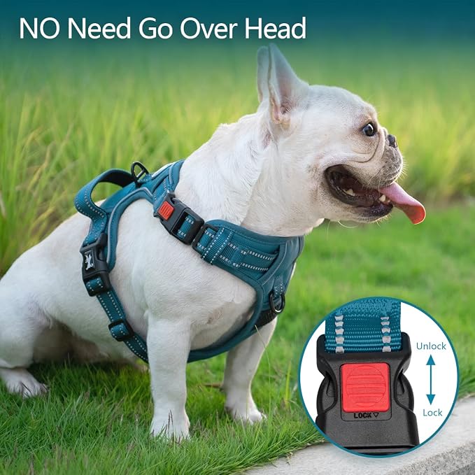 PoyPet No Pull Dog Harness, Reflective Vest with 2 Leash Clips & Handle | Lockable Neck Release Buckle, No Choke, Adjustable, Soft Padded, for Walking Training, Tumalo Teal, Large - Image 2