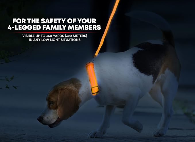 LED Dog Collar USB Rechargeable - Bright & High Visibility Lighted Glow Collar for Pet Night Walking - Weatherproof, in 6 Colors & 6 Sizes (Orange Large) - Image 2
