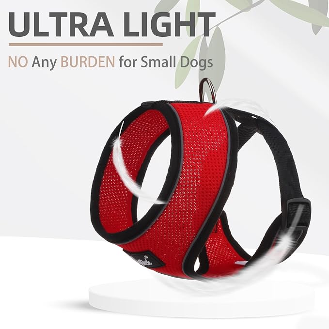 PUPTECK Small Dog Harness and Leash Set No Pull for XS XXS Sized Dogs Puppy | Escape Proof No Choke Pet Cat Adjustable Soft Padded Walking Vest - Image 5