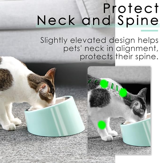 SUPERDESIGN Anti-Vomiting 15° Slanted Pet Bowl L/2 Cup Teal | 15° Tilted, Anti-Vomit & Neck Relief, Non-Slip Base, Detachable Stainless Steel Liner, Dishwasher Safe, for Cats & Dogs - Image 3