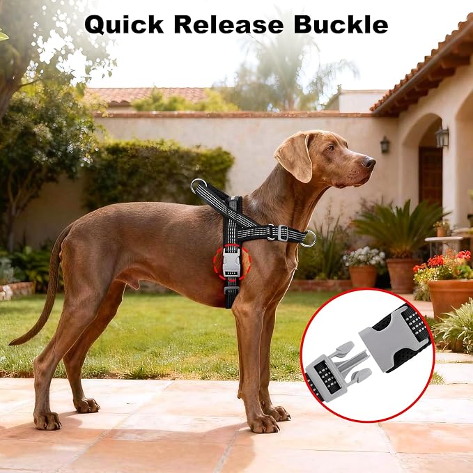 No Pull Dog Harness with Handle, Adjustable Soft Mesh Padded Vest | Reflective Walking Harness with Front Clip for Small Medium Large Dogs, Quick Fit No Escape for Training, Black, M - Image 6