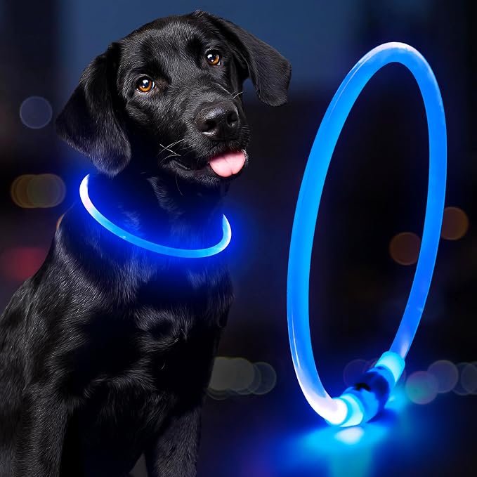 Light Up Dog Collar - Waterproof LED Dog Collar Rechargeble, TPU Cuttable Glow in the Dark Safety Dog Lights for Night Walking(Blue) by Domagiker