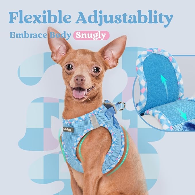 rabbitgoo Step-in Small Dog Harness, Puppy Vest for Small Sized Pet | Easy Put on and off, Lightweight, Soft, Breathable Quick-Dry Air Mesh for Comfortable Secure Walking, Blue & Plaid Trim S - Image 6