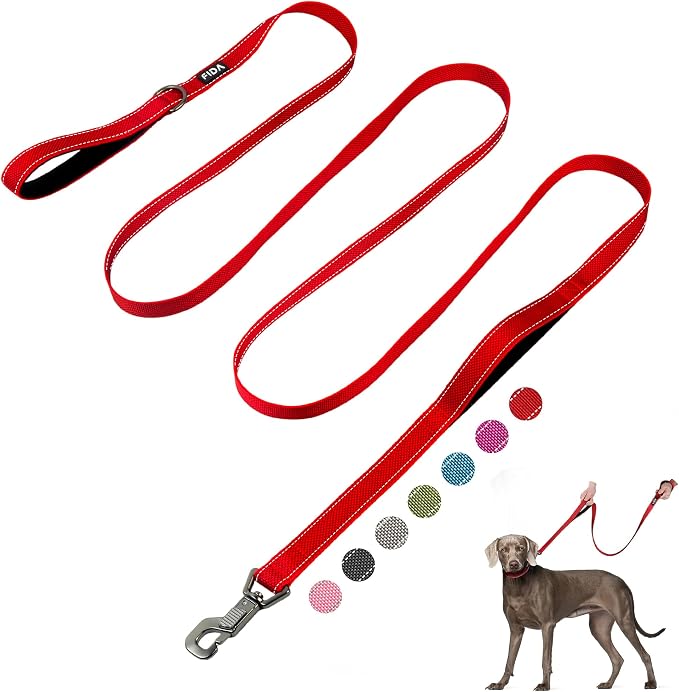 Fida 10 FT Heavy Duty Dog Leash, Dual Padded Handles for Medium Large Dogs | Traffic Handle for Close Control, Advanced Easy Snap Hook, Reflective, Strong Nylon Webbing for Long Walks & Training, Red by Fida