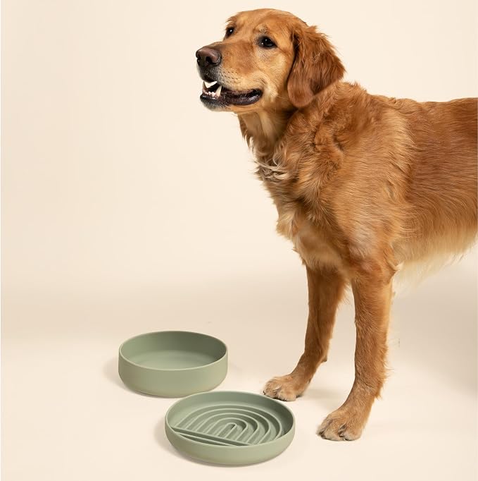 Should We Go? Slow Feeder Dog Bowls - Large Size Silicone Slow Eating Dog Bowl for Puppies & Dogs with Suction Cup -Dishwasher-Safe, Lick Mat Design, Reduces Gulping,for All Breeds,9.5”x1.5”- Sage - Image 4