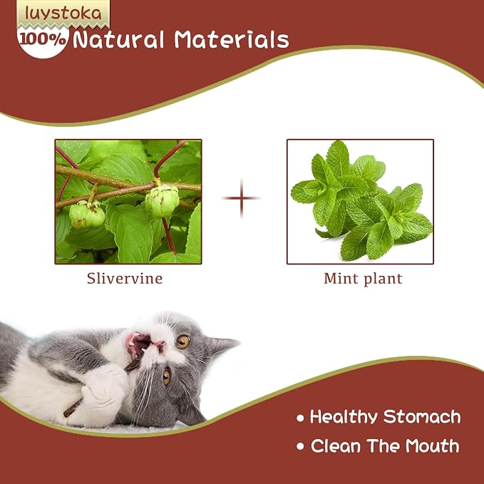 Silvervine Sticks for Cats, 30PCS Kitten Toys Catnip Toys Matatabi Silvervine Sticks Kitty Chew Toys Wooden Stick Kitten Teething Toys Molar Suitable for Cats of All Ages - Image 6