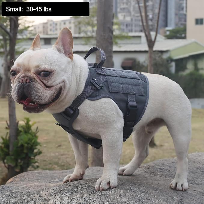 ICEFANG Tactical Dog Harness for Small Dogs,Reflective No Pull Dog Vest | with Control Handle,Adjustable,Front Hook,2 Leash Clips,Soft Padded,MOLLE Panel,Grey,Small - Image 2