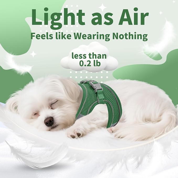 AIITLE Small Dog Harness and Leash Set, Step-in Puppy Pet Vest, Green XXS | Breathable Mesh, Adjustable Fit, Reflective Design, Padded Leash Handle, for Small-Medium Dogs & Cats, Walking, Training - Image 10