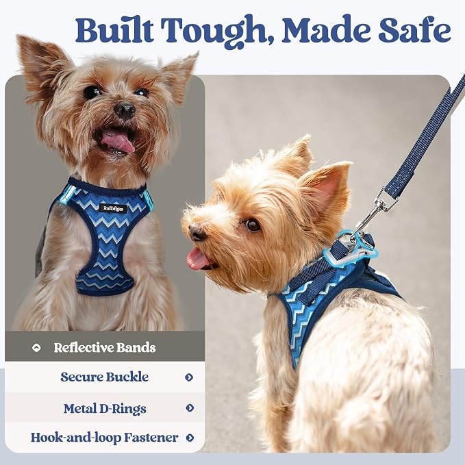 rabbitgoo Dog Harness Small Sized and Leash Set, Step-in Puppy Pet Vest | Light, Soft, Breathable Air Mesh, Easy on and Remove with Hook & Loop, Secure Reflective for Walking, Blue Zigzag XXS - Image 5