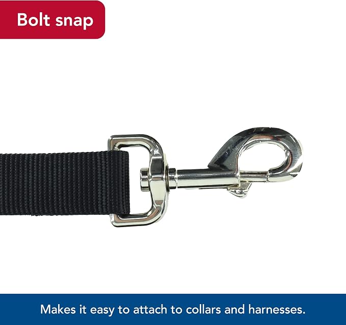 Coastal Pet Single-Ply Dog Leash - Sturdy Pet Leash - Comfortable & Stylish - Resists Fraying - Vibrant & Fade-Resistant Color - Black, 5/8" x 6' - Image 4