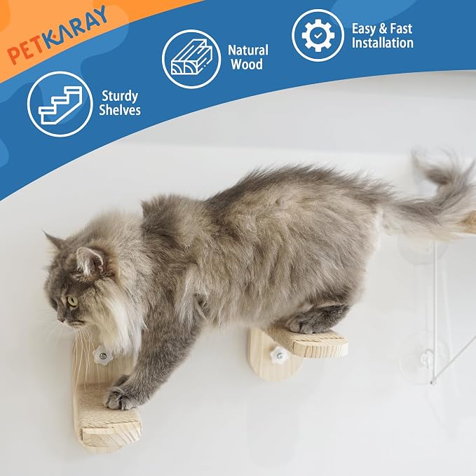 PETKARAY Cat Window Perch, Foldable Cat Hammock for Window, Stable Window Shelves for Indoor Cats, Set Includes 2 Pack of Window Stairs - Image 5