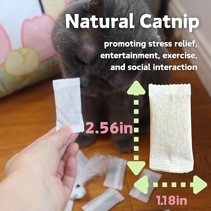 CECE PAW 12 Pack Natural Catnip Pouches for Cat Toys, Non-Woven Fabric Cat nip Refills, Gift Packaging with Catnip Tea Bags and Feather Whale Toy - Image 3