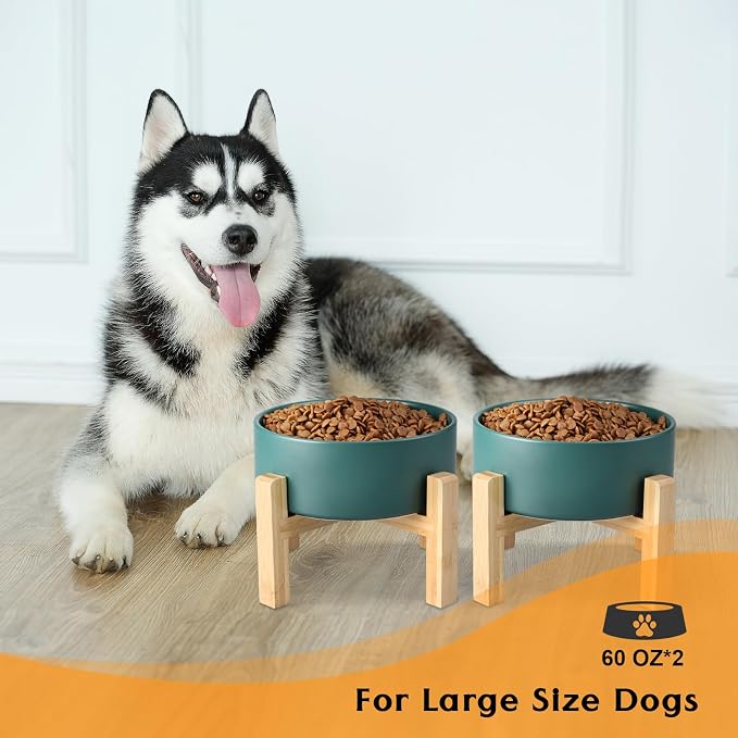 SPUNKYJUNKY Ceramic Elevated Dog Bowls 2 Pack - 8.3inch Raised Dog Bowls with Non-Slip Wooden Stand for Large Dogs Dishwasher Safe(Green,60OZ*2) - Image 7