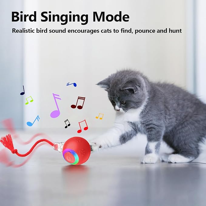 Moving Pet Ball, Cat String Toy for Indoor Cats & Small Dogs | juguetes para gatos|chirping bird cat toy|motion activated cat toy|cat toys for bored indoor adult cats - Image 2
