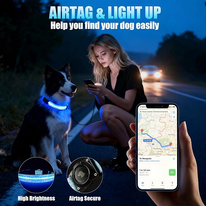 LED AirTag Dog Collar - Brightest Light Up Dog Collars, Daisy L | IP68 Waterproof Air Tag Dog Collar Holder, 1,600 Feet of High Visibility, Magnetic Charging, Dog Lights for Night Walking - Image 4