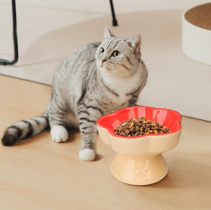 S&Q's CERAMICS Raised Cat Bowl, Elevated Cat Bowl for Food and Water, Ceramic Titled Dish, Anti Vomit & Whisker Friendly, Microwave and Dishwasher Safe (Orange, 5.8") - Image 5