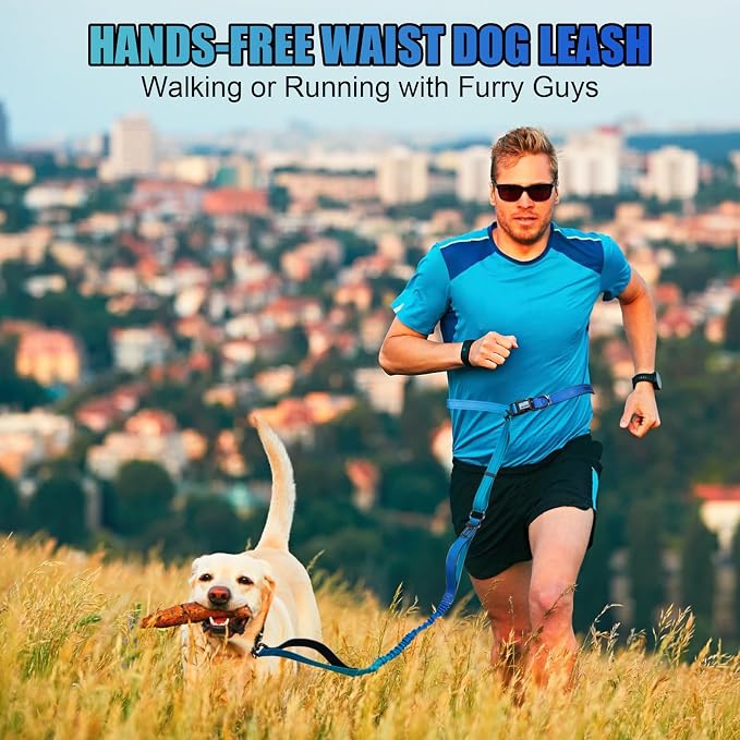 Heavy Duty Hands Free Dog Leash, 5-7 FT Reflective Adjustable Waist Dog Leash Belt with Padded Handles, Shock Absorbing Bungee and Car Seat Belt for Large Medium Dogs (Gradient Cobalt, XL) - Image 2