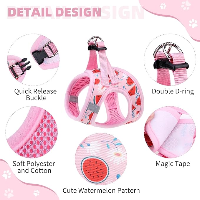 KOOLTAIL Dog Harness and Leash Set for Small Medium Dogs, Step in No Pull Soft Mesh Dog Harness Comfort Padded Pet Vest, Adjustable Reflective Easy Walking Puppy Cats Harness Training, Watermelon S - Image 2