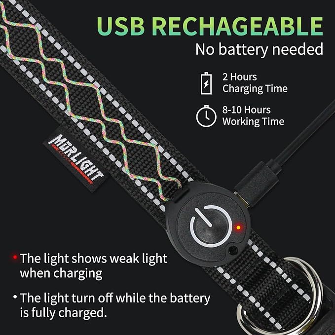 Rechargeable LED Dog Collar for Night Walking, Embroidered Rope Light | The LED light is visible from 360 degrees, anti-loss and enhancing outdoor walking safety(Small Multicolor) - Image 4