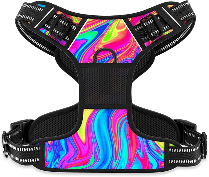 Rnivvi No Pull Dog Harness, Cute Reflective Large Sized Puppy Harness, Adjustable Soft Padded Vest for Large Dogs, Heavy Duty Pet Vest with Easy Control Handle for Walking Training, Rainbow Art by Rnivvi