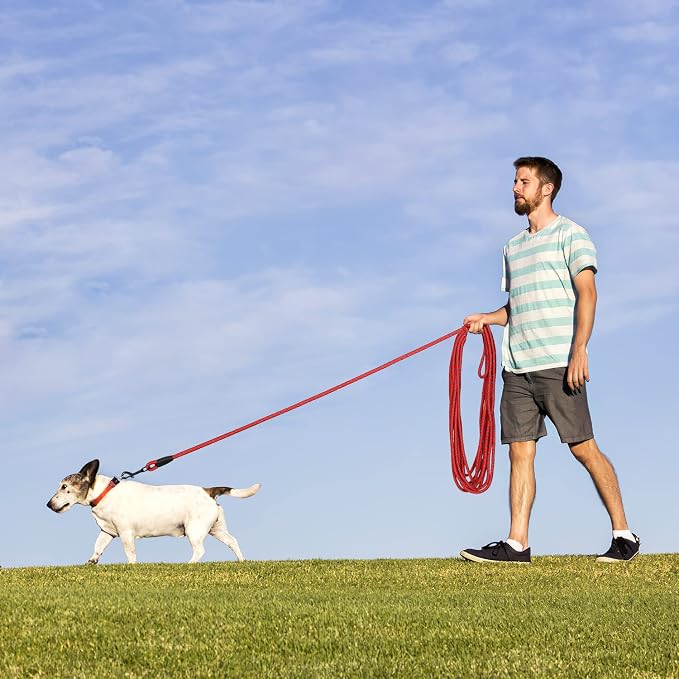 Long Dog Leash for Training 50Ft-Reflective Nylon Rope with Swivel Hook-Recall Agility Lead for Large Small Medium Dogs Outside Walking Hiking-Red - Image 6