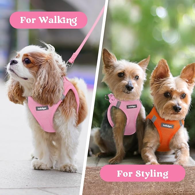 rabbitgoo Step-in Small Dog Harness, Puppy Vest for Small Sized Pet | Easy Put on and off, Lightweight, Soft, Breathable Quick-Dry Air Mesh for Comfortable Secure Walking, Light Pink XXXS - Image 9