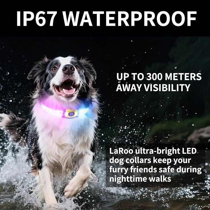 LaRoo LED Light Up Dog Collar, Multi-Color Glowing Safety Pet Collar, Rechargeable Night Visibility Collar, Pet Safety Collar Makes Your Beloved Dogs Be Seen at Night for Small Medium Dogs(Blue) - Image 5