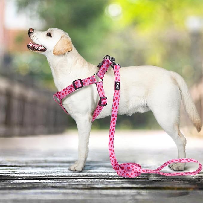Dog Harness Leash Set Adjustable Heavy Duty No Pull Halter Harnesses for Small Medium Large Breed Dogs Back Clip Anti-Twist Perfect for Walking - Image 6