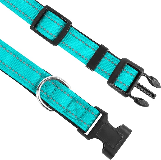 Reflective Dog Collar, Adjustable Soft Neoprene Padded,Teal,M | Breathable Nylon for Medium Dogs,Tear-Resistant Webbing,Chafe‑Free on Walks and Hikes,Metal D-Ring,Night Safety - Image 3