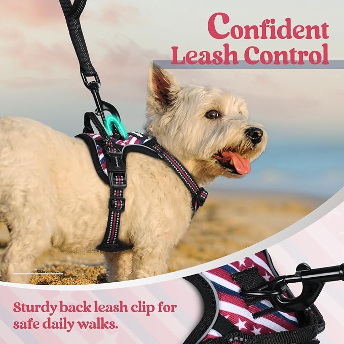 rabbitgoo Dog Harness, No Pull for Small Dogs with 2 Leash Clips, Pet Vest | No Choke with Handle, Adjustable Soft Padded, Reflective, Easy Control for Walking, Red Stripe, X-Small - Image 6
