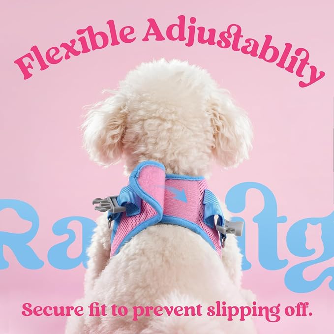 rabbitgoo Dog Harness Small Sized and Leash Set, Step in Soft Vest | Breathable Mesh, Easy Wear with Hook & Loop, Light and Reflective for Walking, Multi-colored, Pink & Blue, L - Image 6