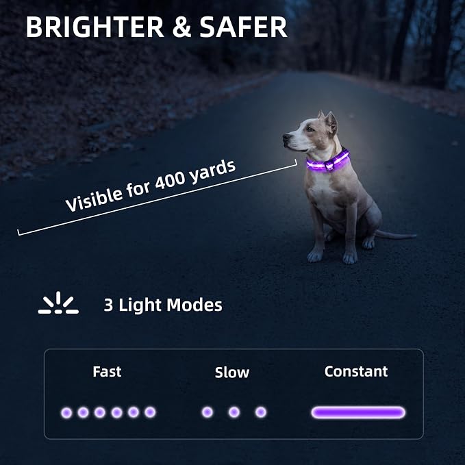 Super Bright LED Dog Collar - Fully Waterproof & Adjustable Glow Collar - USB-C Rechargeable for Night Walking, Safety - Flashing Lighted Collar for Dogs(Purple,Small) - Image 4